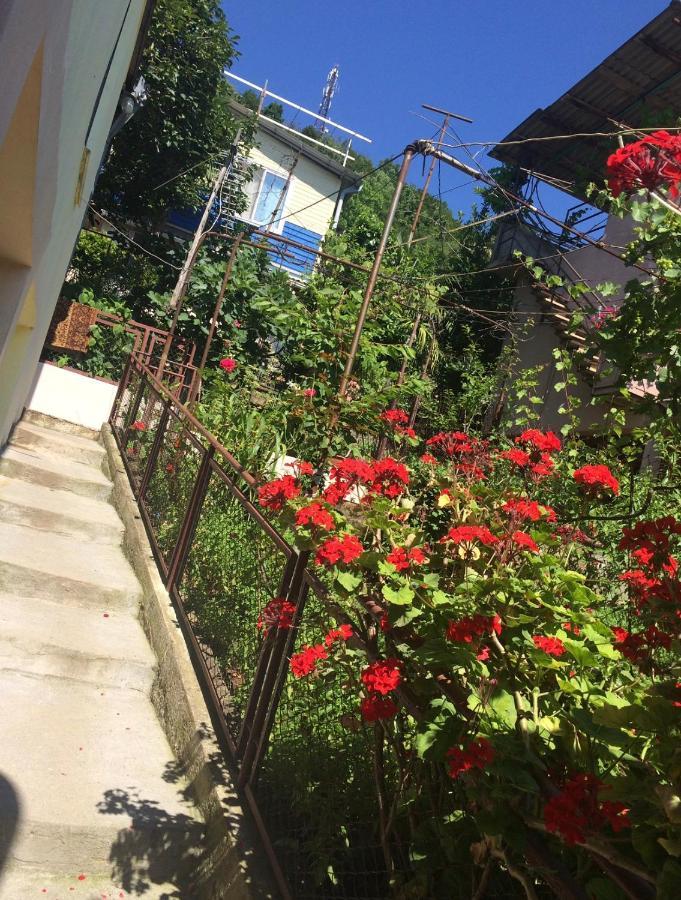 Hotel Гостевой Дом «Лиза» Gagry Zewnętrze zdjęcie
